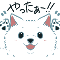 白いわんこのほーちゃん