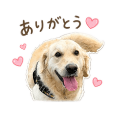 ウルモナレアスタンプ