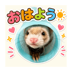 アマレットの日常