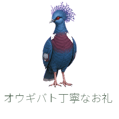 オウギバト丁寧なお礼