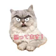 なんこつくん2❣️