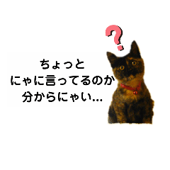 サビ猫麦の毎日使えるスタンプ