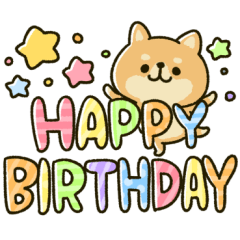 可愛くお祝い♡豆柴日和