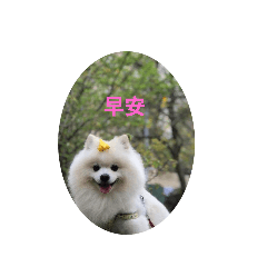 Melody_20191125153502