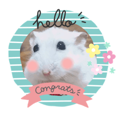 チームげっ歯☆冬バージョン