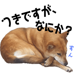 つきですが、なにか？