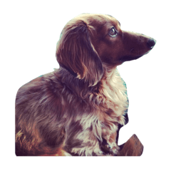 大好きぴーちゃん