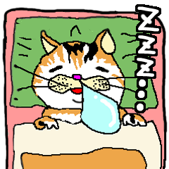 【旅人ホイホイ】放浪猫