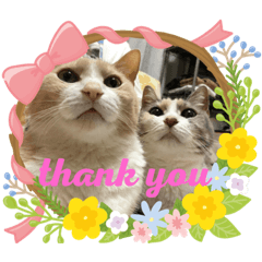 あいちゅらstamp