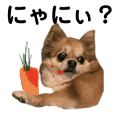 ほんわかわんこスタンプ