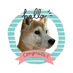 しばいぬワンワン