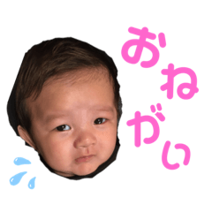 だいぴすたんぷ2