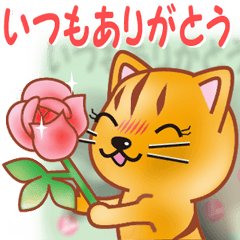 飛び出すニャンコ２