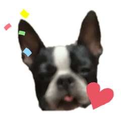 盛りだくさんらぶちゃん