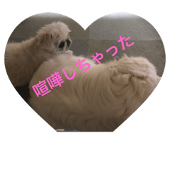 ケンカしちゃった