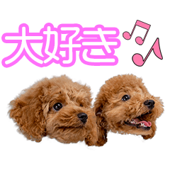 中川家のきなこ＆くるみちゃん