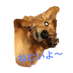 ジュニくんのスタンプ