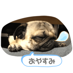 いっちゃんちのカンタくん