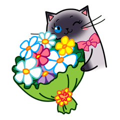 Sima the cute Siamese pussycat