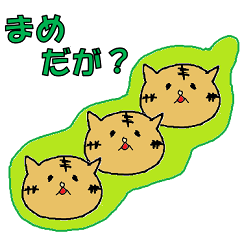 秋田弁ネコ田さん