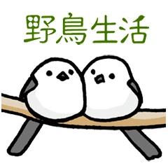 野鳥生活のスタンプ１