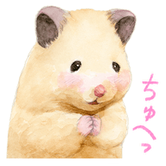 ハムスター助六の日常 5