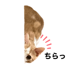 使えるあおくんスタンプ3