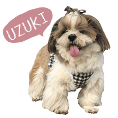 卯月のLINEスタンプ