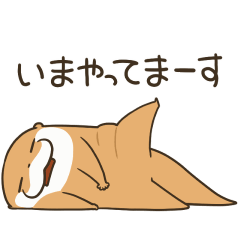 ゆれる こつめってぃ 02