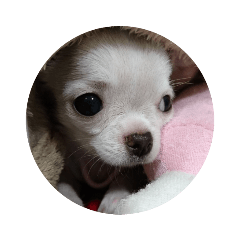 あかちゃんこびん6