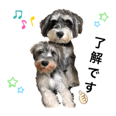 シュナーズ　rin.sou