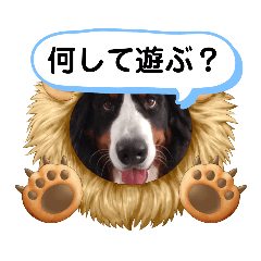 可愛いバーニーズスタンプ(*^^*)8