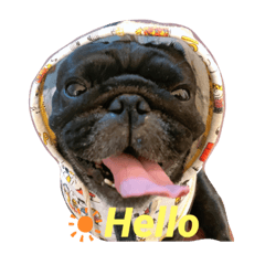 ノアール(日常)