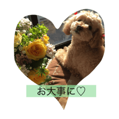 といぷー好きのための！！