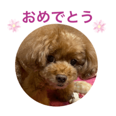 あっちゅちゅ16