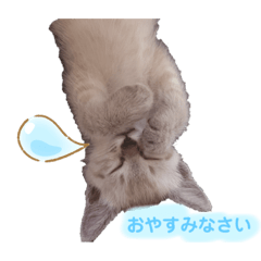 いろいろなそら