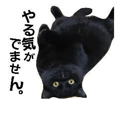 愉快な仲間達、2