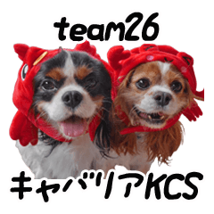 キャバリアKCS team26スタンプ