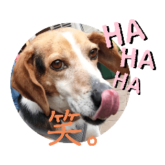 うしおのリアクションスタンプ