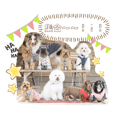 あき＆CoCo＆Choco