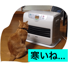 おしゃべり猫のミュウ