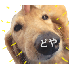 たっくんまみれ