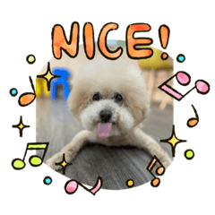 Josephine_20210912220010