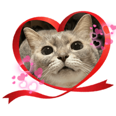 うちの子のスタンプ♪