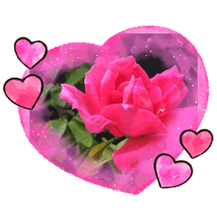 Nature Flower stickers (Cr.)