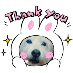 かわいいセナちゃんザ・ベスト