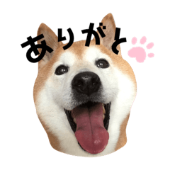 ろくちゃんver.2