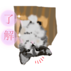 日々に関する会話