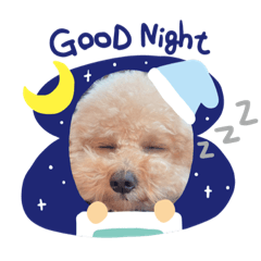 RUKAルカスタンプ