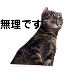 ミミーちゃんのスタンプ1